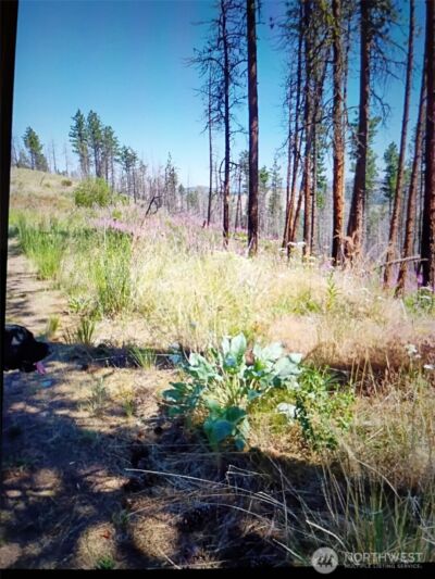 111 TBD J H Green RD , Tonasket, WA 98855 - Photo 5