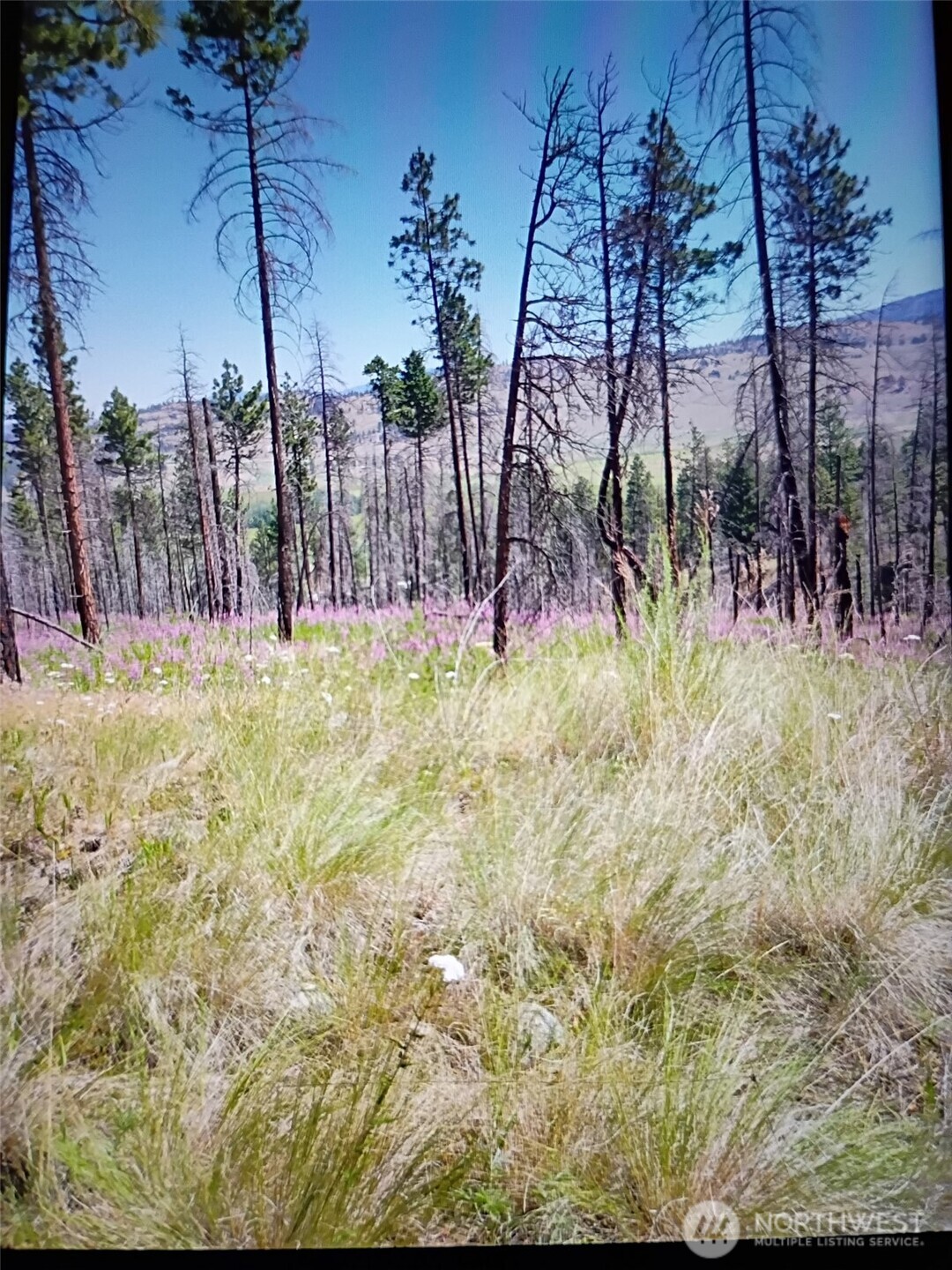 111 TBD J H Green RD , Tonasket, WA 98855