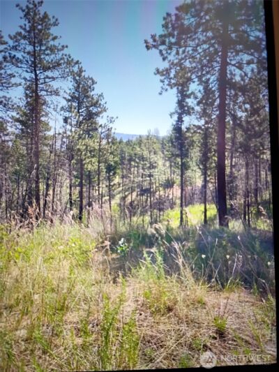 111 TBD J H Green RD , Tonasket, WA 98855 - Photo 7