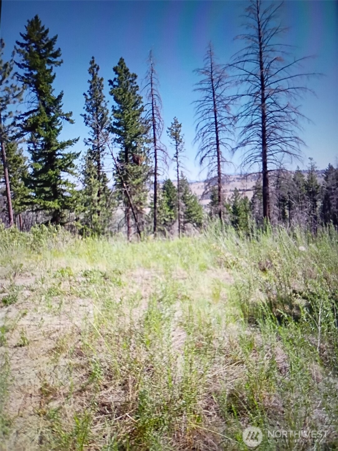 111 TBD J H Green RD , Tonasket, WA 98855