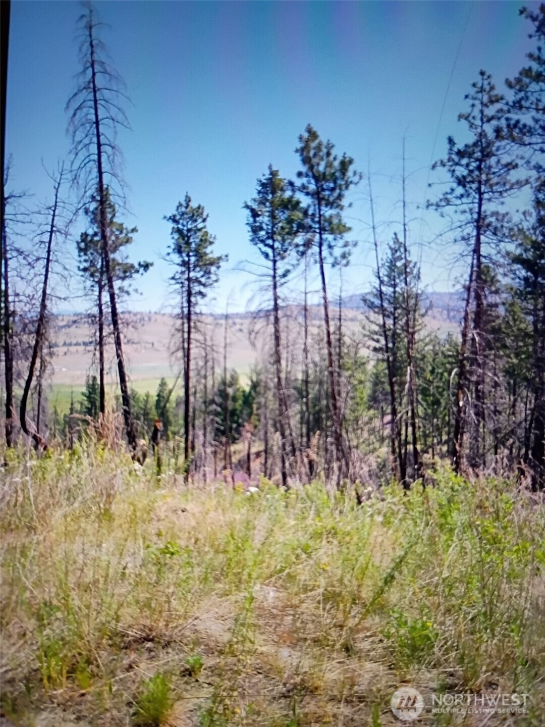 111 TBD J H Green RD , Tonasket, WA 98855