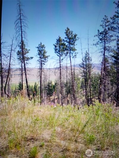 111 TBD J H Green RD , Tonasket, WA 98855 - Photo 10