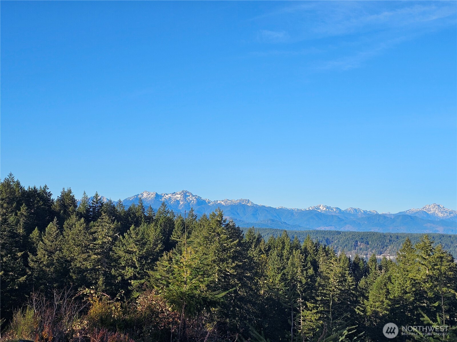 1190 E Manzanita Drive , Union, WA 98592