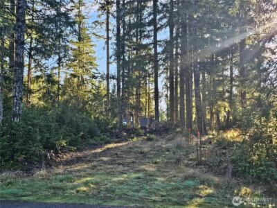 1190 E Manzanita Drive , Union, WA 98592 - Photo 2