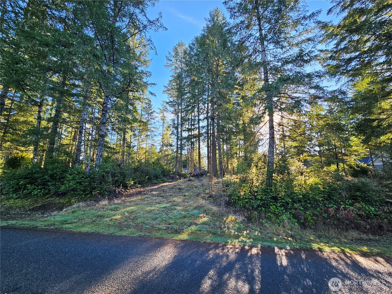 1190 E Manzanita Drive , Union, WA 98592