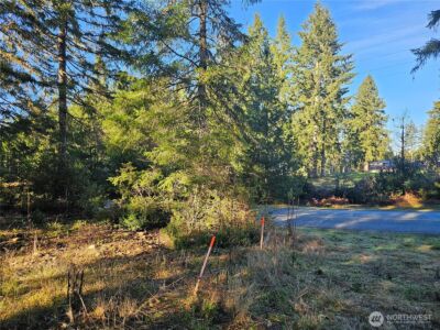 1190 E Manzanita Drive , Union, WA 98592 - Photo 5