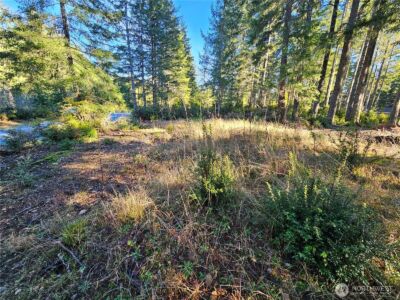 1190 E Manzanita Drive , Union, WA 98592 - Photo 7