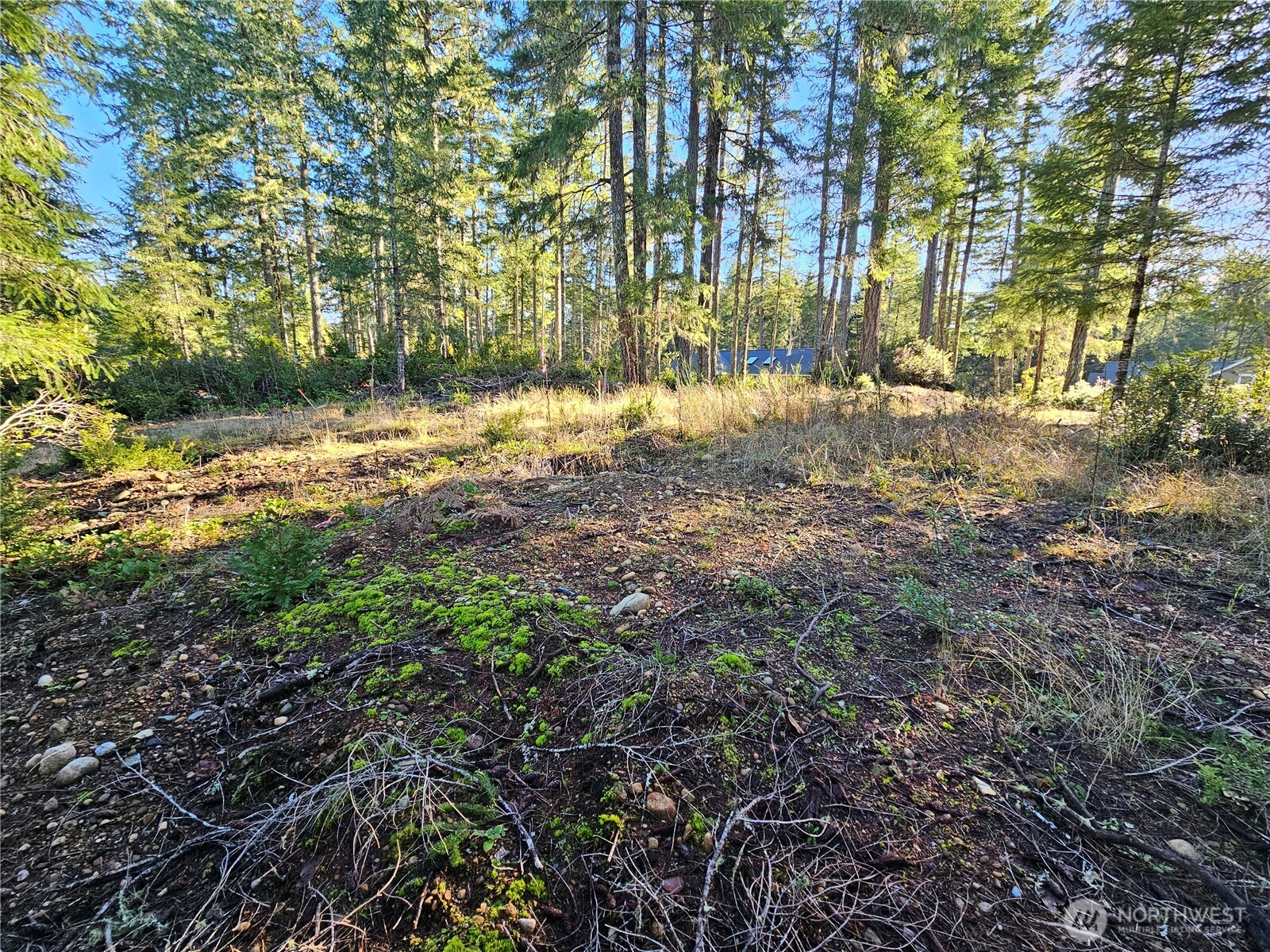 1190 E Manzanita Drive , Union, WA 98592