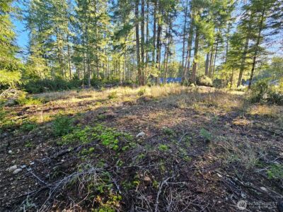 1190 E Manzanita Drive , Union, WA 98592 - Photo 9