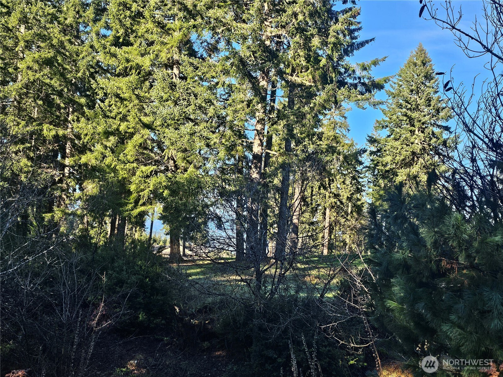 1190 E Manzanita Drive , Union, WA 98592