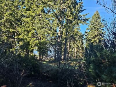 1190 E Manzanita Drive , Union, WA 98592 - Photo 10