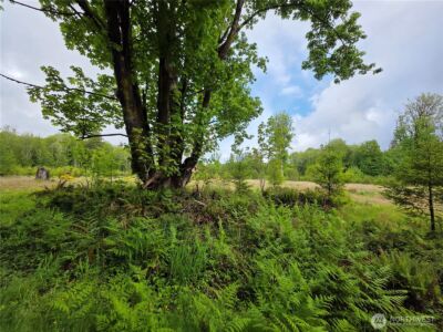 0 XX W Maple Rock Road , Matlock, WA 98560 - Photo 4