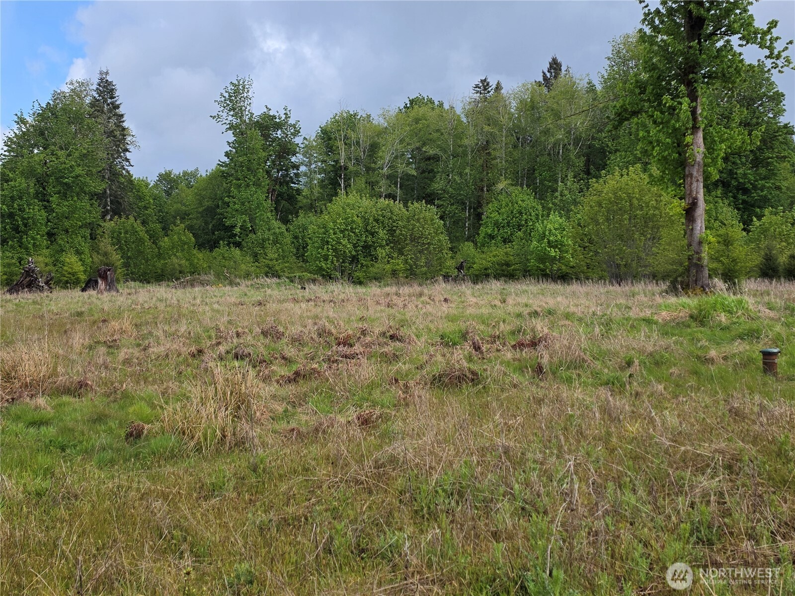 0 XX W Maple Rock Road , Matlock, WA 98560