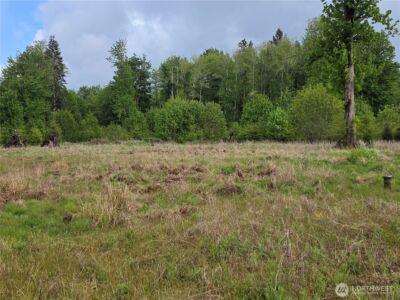 0 XX W Maple Rock Road , Matlock, WA 98560 - Photo 5