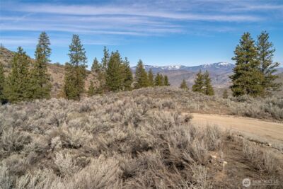 0 Yarbrough Drive , Orondo, WA 98843 - Photo 14