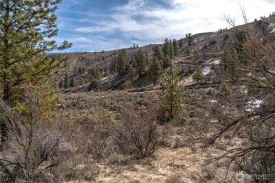 0 Yarbrough Drive , Orondo, WA 98843 - Photo 16