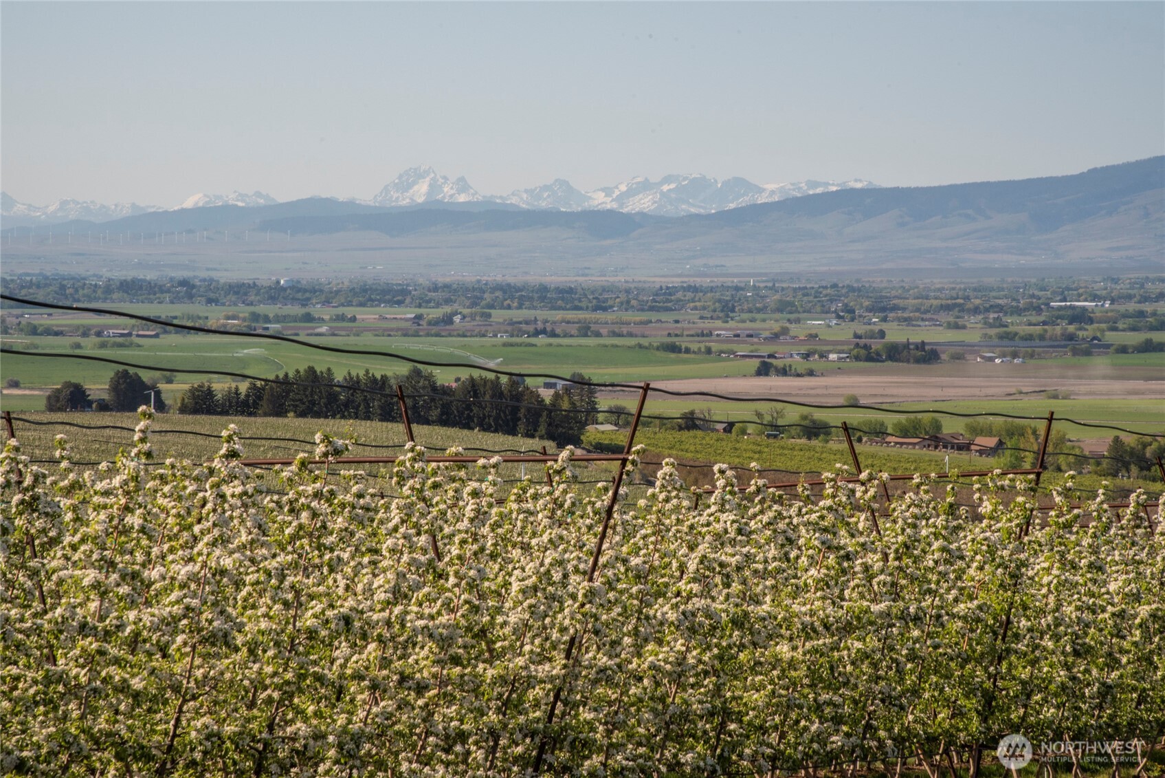 1677 Dodge Road , Ellensburg, WA 98926