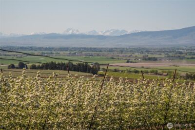 1677 Dodge Road , Ellensburg, WA 98926 - Photo 35