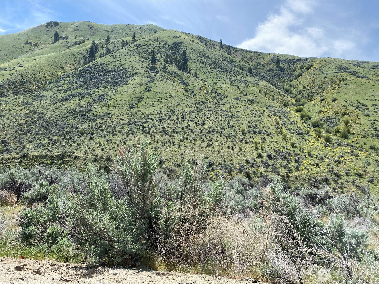 1585 Pitcher Canyon Road , Wenatchee, WA 98801