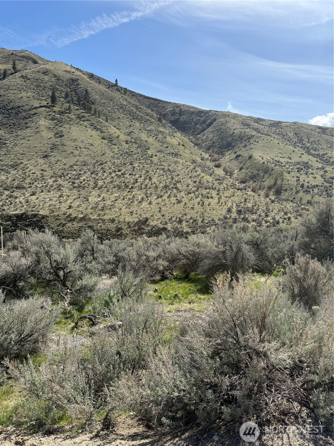 1585 Pitcher Canyon Road , Wenatchee, WA 98801