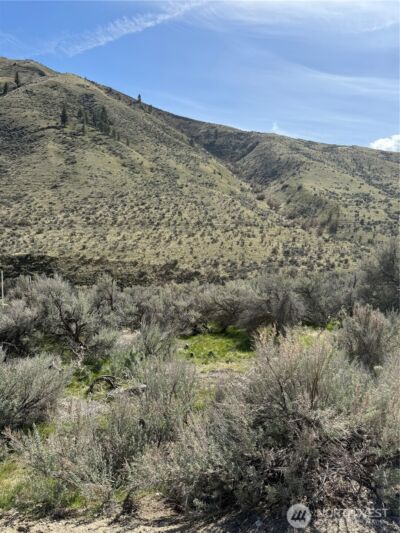 1585 Pitcher Canyon Road , Wenatchee, WA 98801 - Photo 8