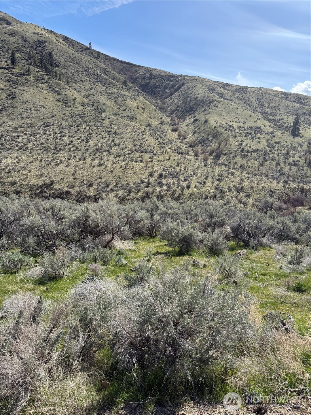 1585 Pitcher Canyon Road , Wenatchee, WA 98801