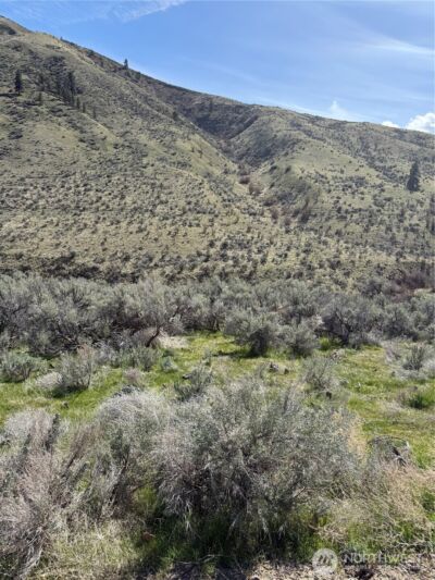 1585 Pitcher Canyon Road , Wenatchee, WA 98801 - Photo 9