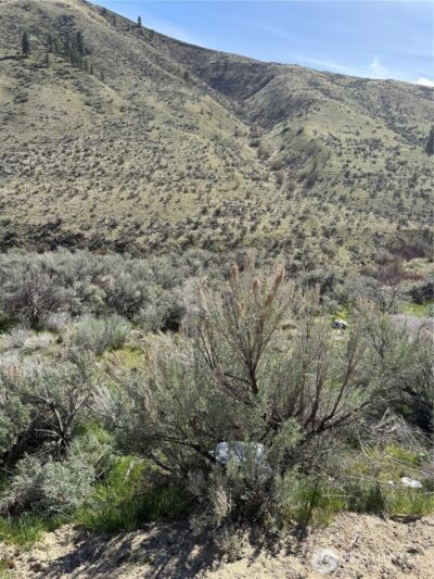 1585 Pitcher Canyon Road , Wenatchee, WA 98801 - Photo 10