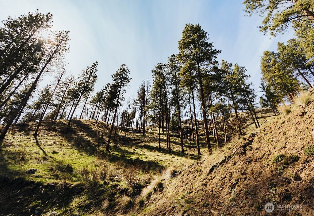 267 Boone Avenue W, Conconully, WA 98819