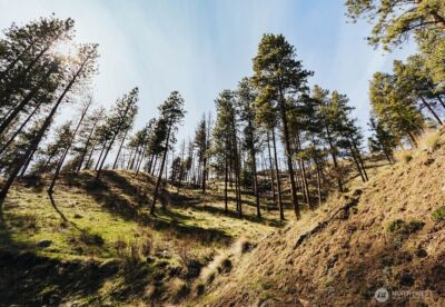 267 Boone Avenue W, Conconully, WA 98819 - Photo 28