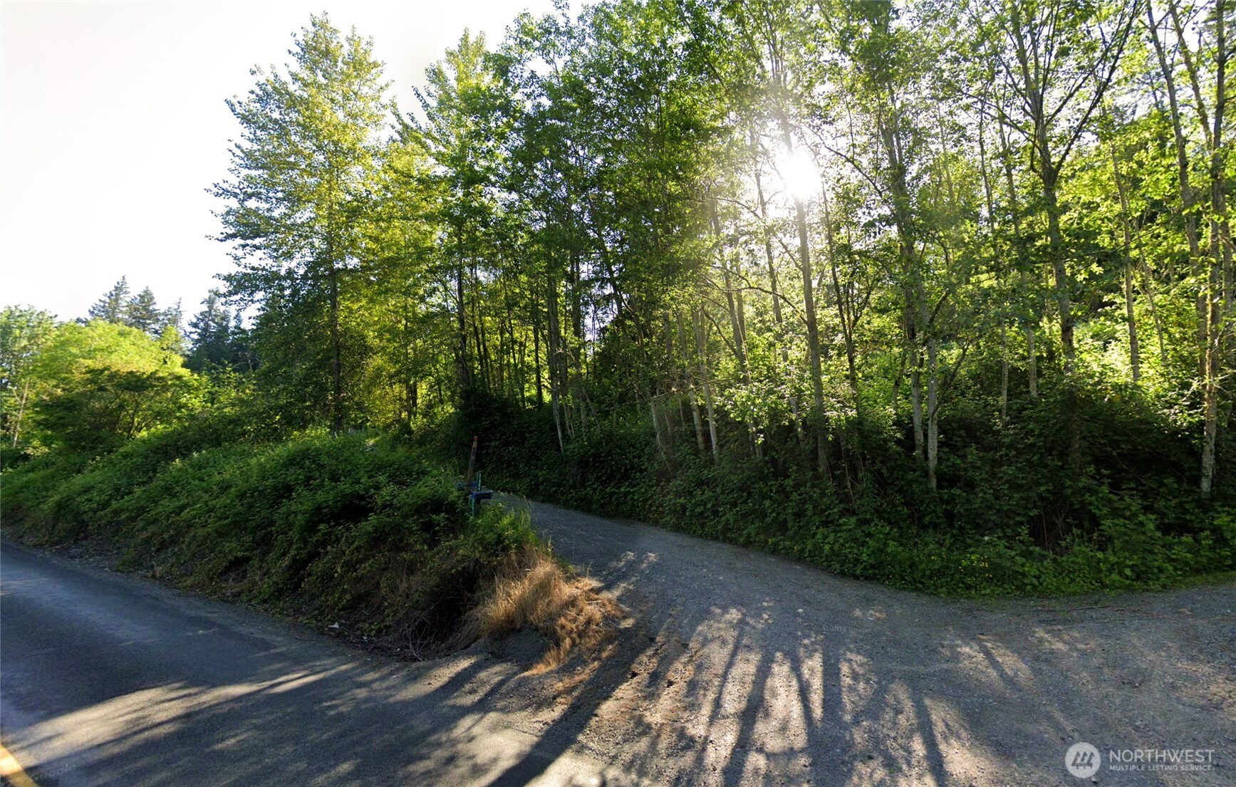 31822 Orville Road E, Graham, WA 98338