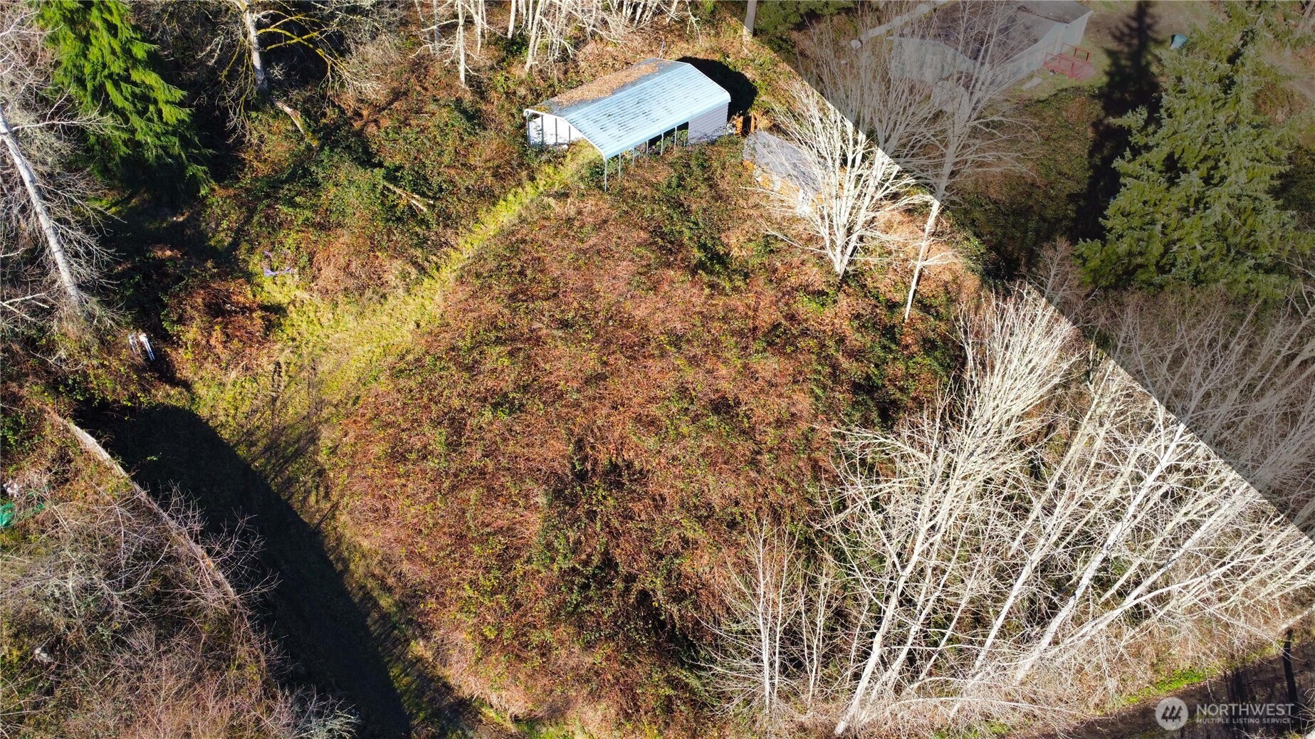 31822 Orville Road E, Graham, WA 98338