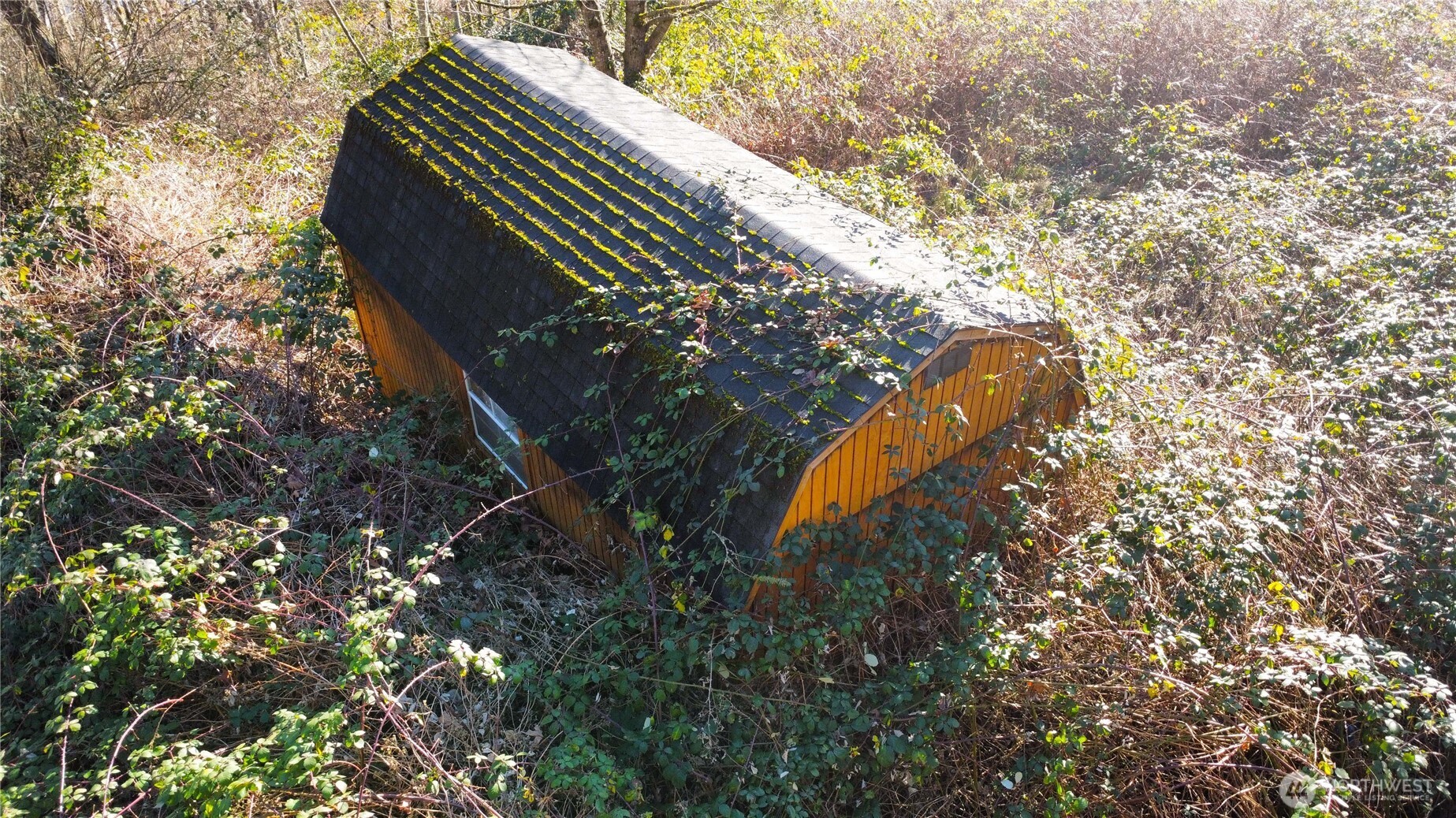 31822 Orville Road E, Graham, WA 98338