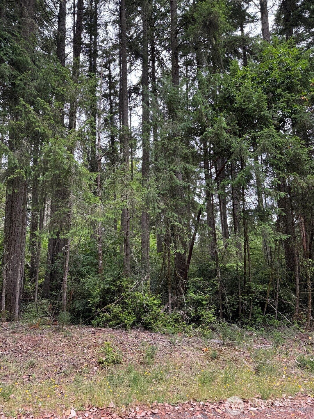 12216 Wapato Road , Anderson Island, WA 98303