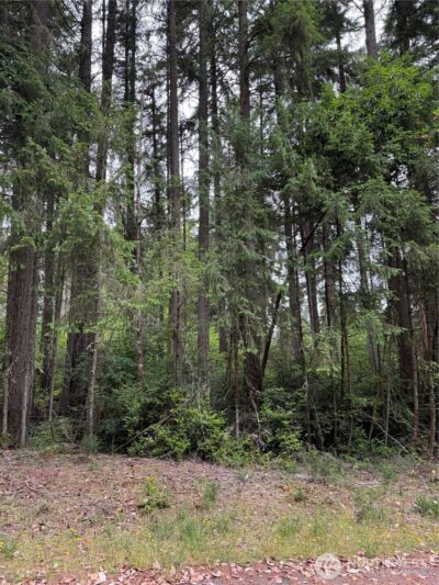 12216 Wapato Road , Anderson Island, WA 98303 - Photo 1