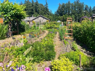 12216 Wapato Road , Anderson Island, WA 98303 - Photo 7