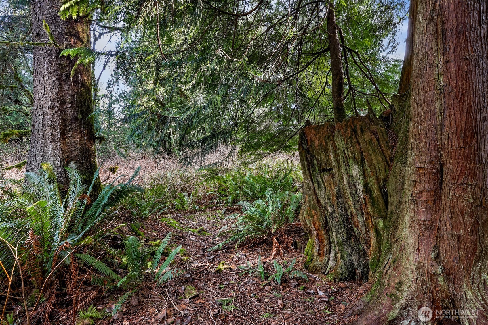 6657 N Fruitdale Road , Sedro Woolley, WA 98284