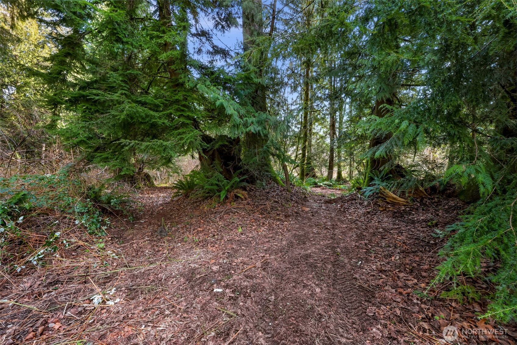 6657 N Fruitdale Road , Sedro Woolley, WA 98284