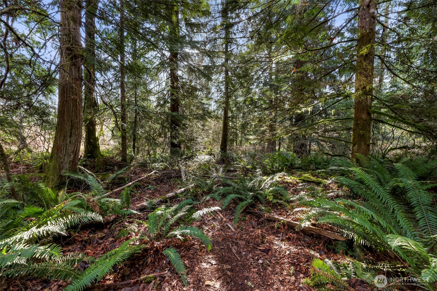 6657 N Fruitdale Road , Sedro Woolley, WA 98284