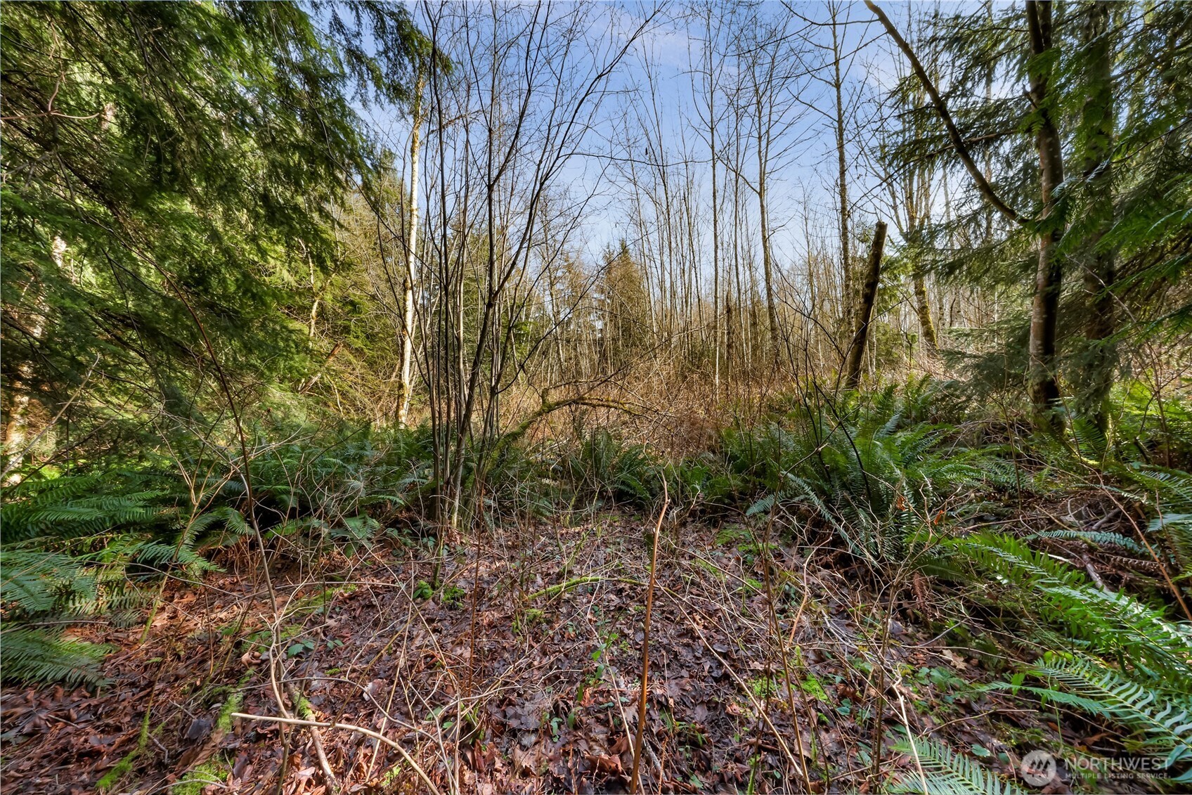 6657 N Fruitdale Road , Sedro Woolley, WA 98284