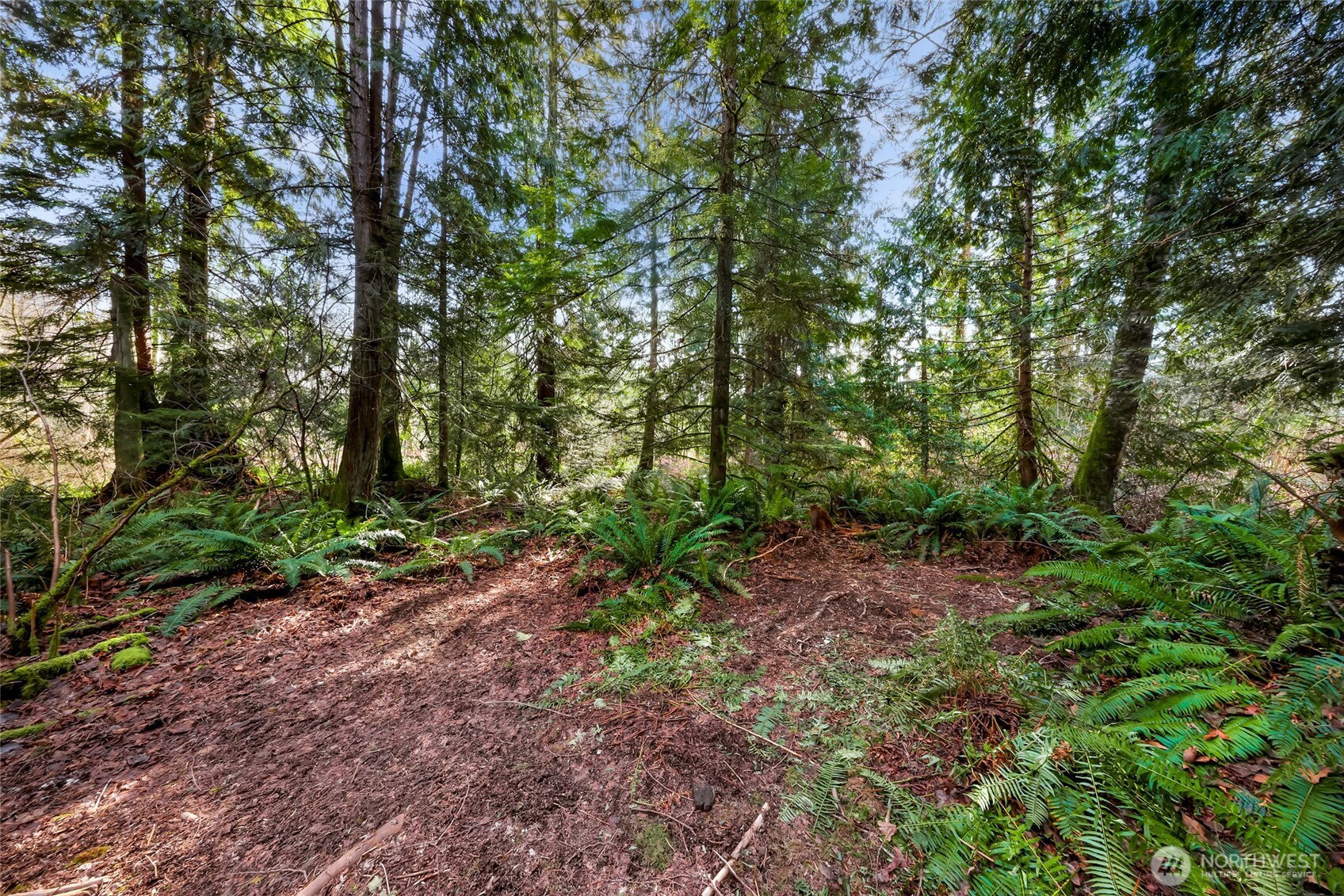 6657 N Fruitdale Road , Sedro Woolley, WA 98284