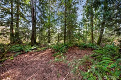 6657 N Fruitdale Road , Sedro Woolley, WA 98284 - Photo 7
