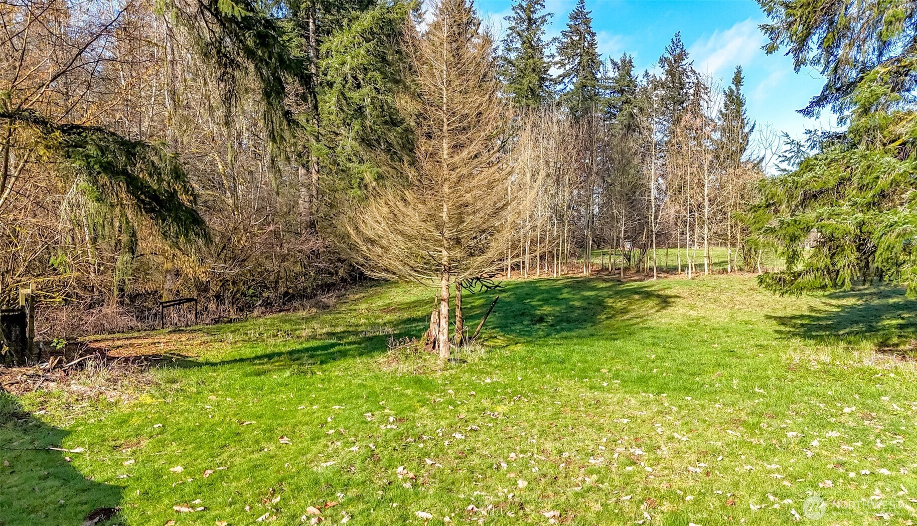 12343 Shadowbrook Drive SW, Olympia, WA 98512