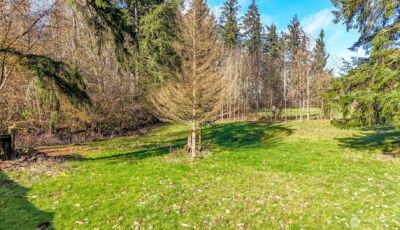 12343 Shadowbrook Drive SW, Olympia, WA 98512 - Photo 38