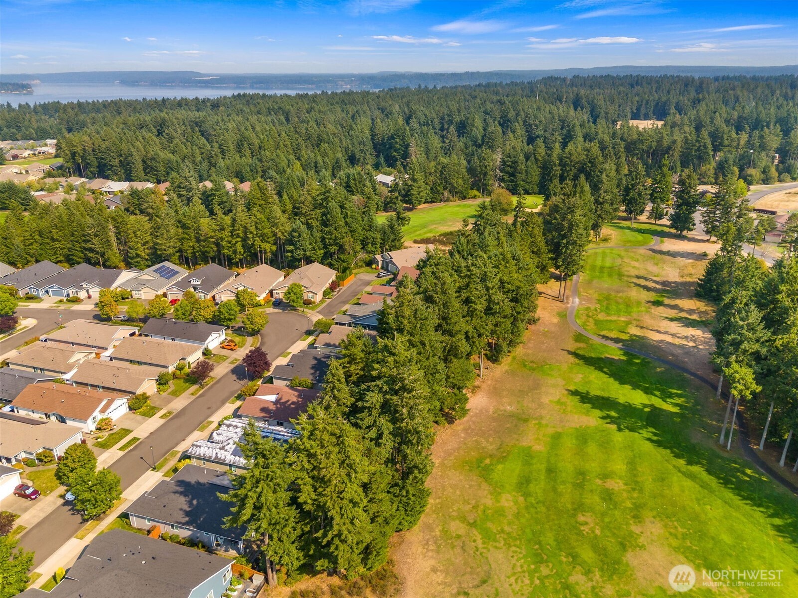 8231 Orcas Loop NE, Lacey, WA 98516