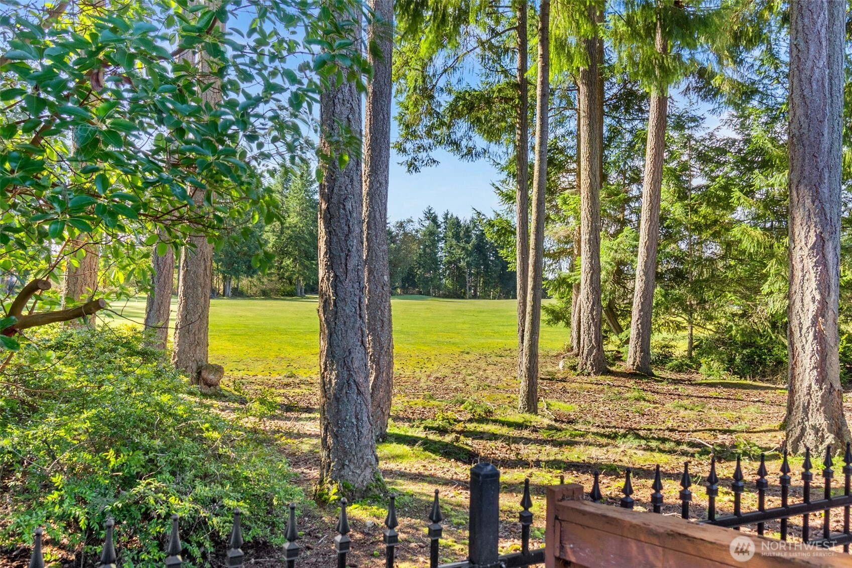 8231 Orcas Loop NE, Lacey, WA 98516