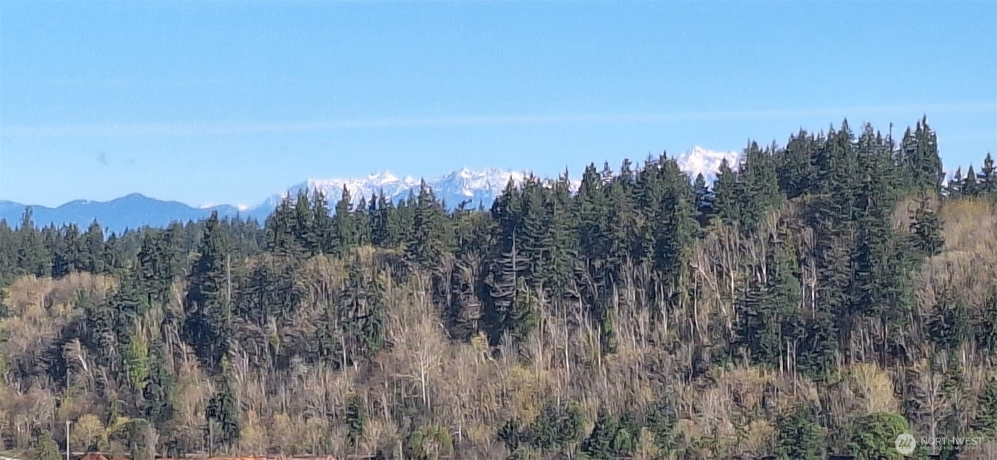 1106 Fairmount Ave , Shelton, WA 98584