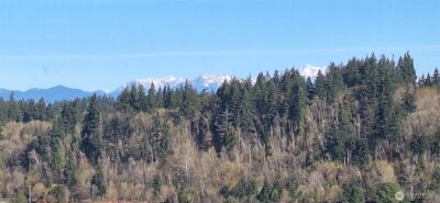 1106 Fairmount Ave , Shelton, WA 98584 - Photo 4