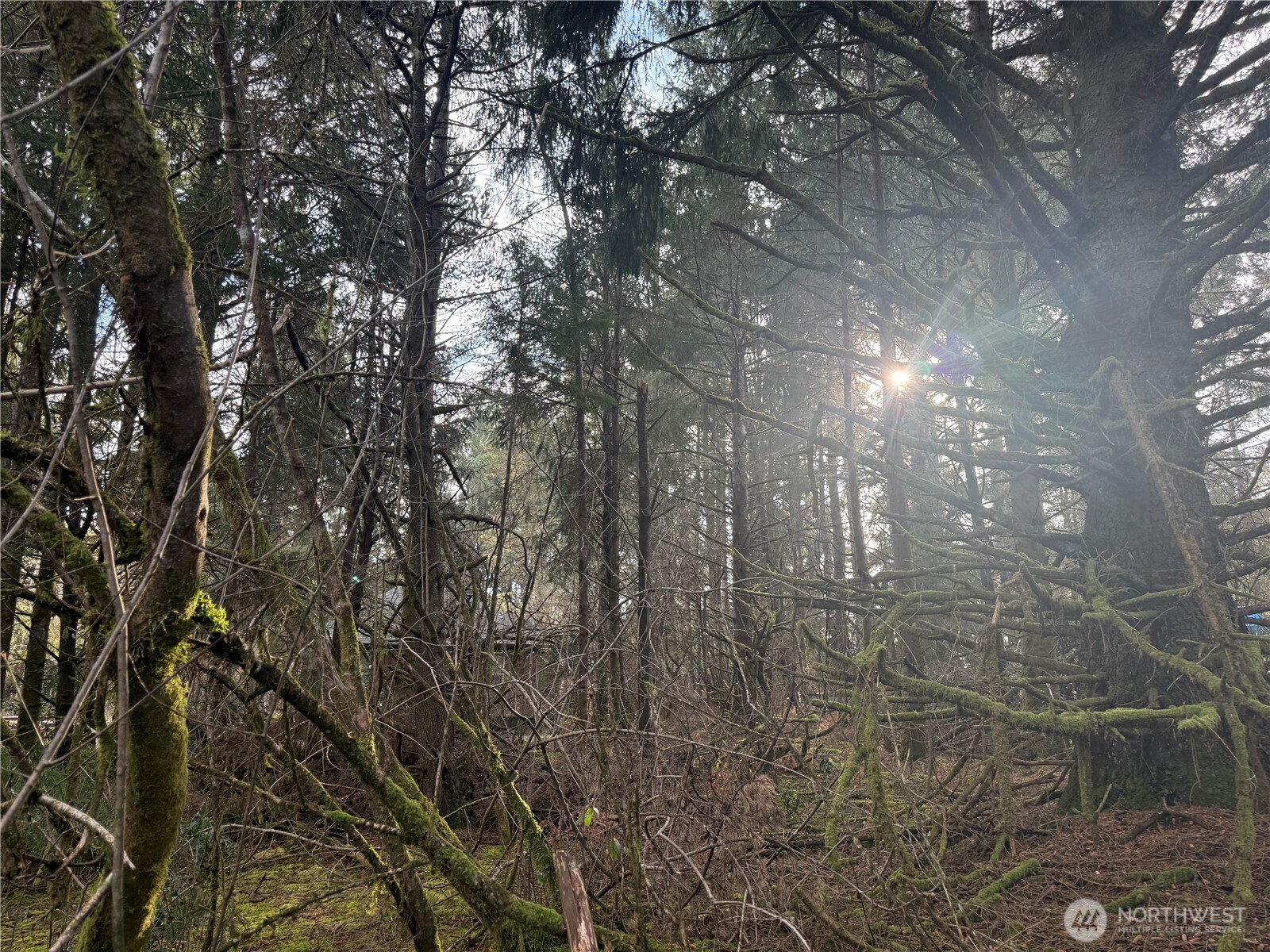 142 XXX 142nd Lane , Long Beach, WA 98631