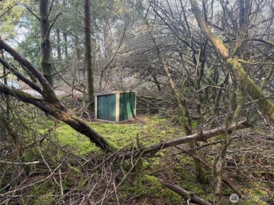 142 XXX 142nd Lane , Long Beach, WA 98631 - Photo 3